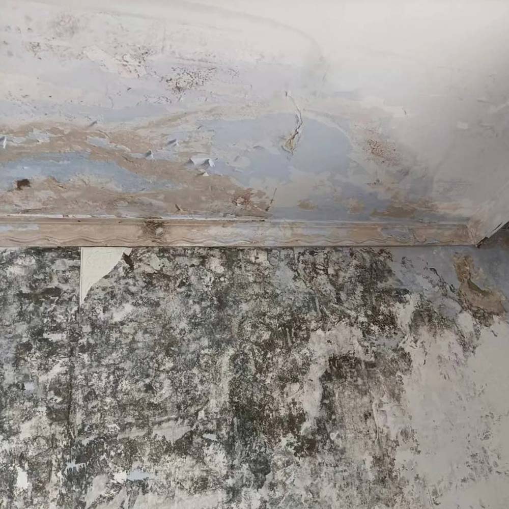 墙壁渗水发霉堵漏